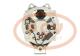 PCV 20977P - ALTERNADOR DAF 55A 24V PCV NEW