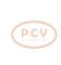 PCV 10441589 - ALTERNADOR RENAULT 50A 12V COPY NEW T/OEM