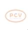 PCV 10441589 - ALTERNADOR RENAULT 50A 12V COPY NEW T/OEM