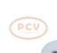 PCV 10441699 - ALTERNADOR AUDI 90A 12V COPY NEW T/OEM