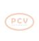 PCV 10442036 - ALTERNADOR FORD 80A 12V COPY NEW T/OEM