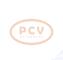 PCV 10442507 - ALTERNADOR AUDI 90A 12V COPY NEW T/OEM