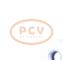 PCV 10443299 - ALTERNADOR PORSCHE 120A 12V COPY NEW T/OEM