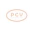 PCV 10443308 - ALTERNADOR BMW 170A 12V COPY NEW T/OEM
