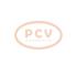 PCV 10443677 - ALTERNADOR VOLKSWAGEN 110A 12V COPY NEW T/OEM