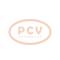 PCV 10443974 - ALTERNADOR RENAULT 210A 12V COPY NEW T/OEM