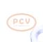 PCV 10442865 - ALTERNADOR DAF 80A 24V COPY NEW T/OEM