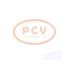 PCV 10442865 - ALTERNADOR DAF 80A 24V COPY NEW T/OEM