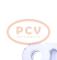 PCV 10442992 - ALTERNADOR AUDI 140A 12V COPY NEW T/OEM