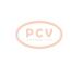 PCV 10443622 - ALTERNADOR VOLVO 180A 12V COPY NEW T/OEM