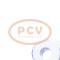 PCV 10443162 - ALTERNADOR AUDI 120A 12V COPY NEW T/OEM