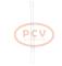 PCV TSP0225473P - CONDENSADOR P/FORD PCV NEW T/DELPHI