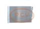PCV DCN05032P - CONDENSADOR P/BMW PCV NEW T/DENSO