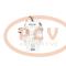 PCV 090505021P - COMPRESOR P/IVECO / FIAT PCV NEW T/DENSO
