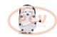 PCV 4421004001P - COMPRESOR P/IVECO / FIAT PCV NEW T/DENSO