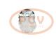 PCV 7010184 - COMPRESOR P/IVECO / FIAT COPY NEW T/OEM